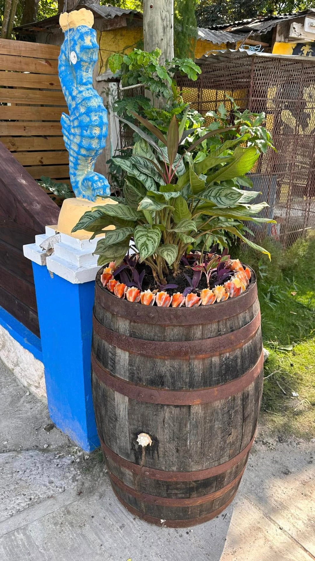 Rum barrel planter in the garden