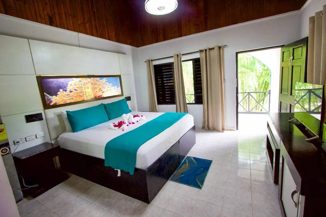 Premier Single Room with king bed